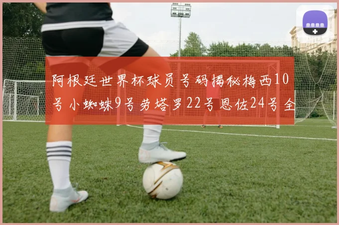阿根廷世界杯球员号码揭秘梅西10号小蜘蛛9号劳塔罗22号恩佐24号全解析