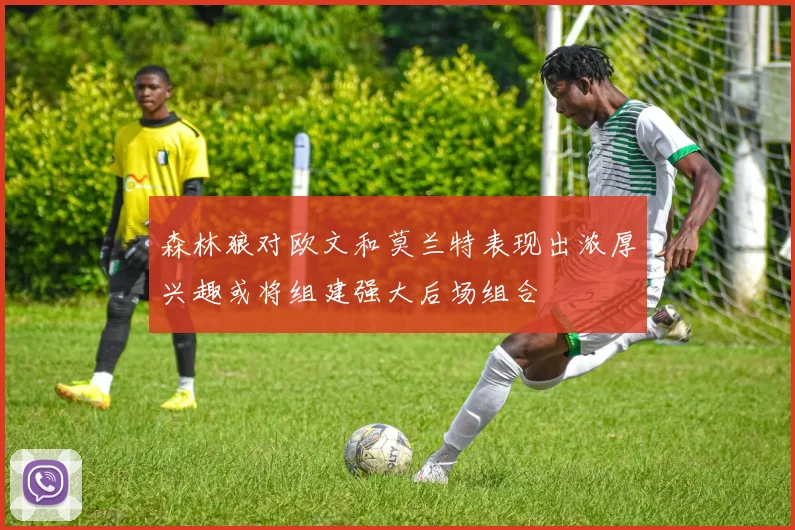 森林狼对欧文和莫兰特表现出浓厚兴趣或将组建强大后场组合
