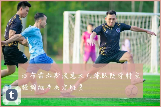 法布雷加斯谈意大利球队防守特点强调细节决定胜负